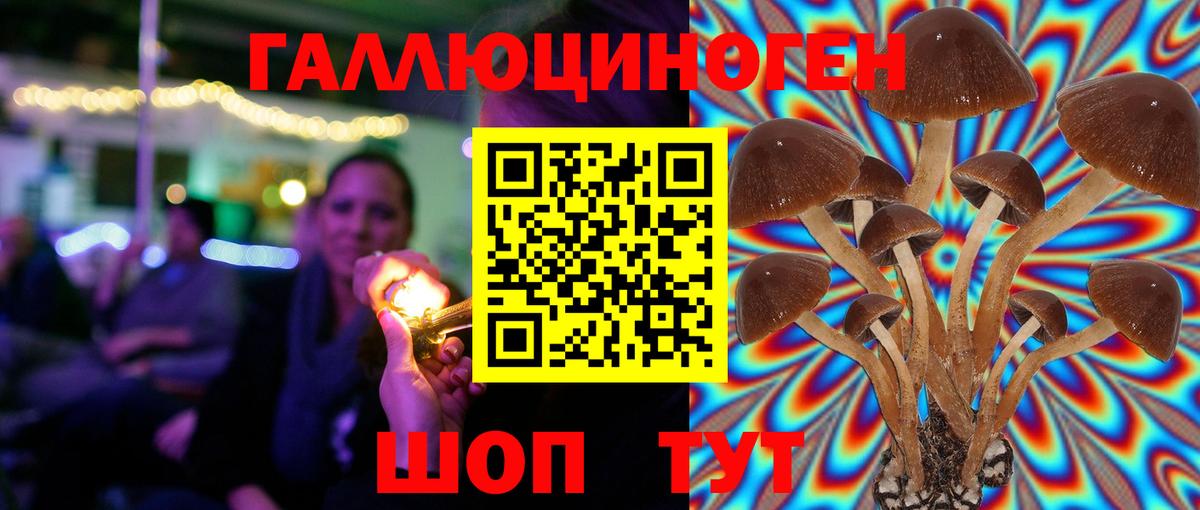 Ковров  Псилоцибиновые грибы Magic Shrooms  Вход с VPN 